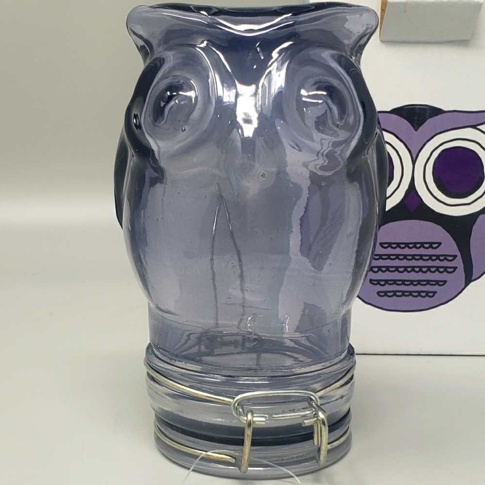 Contained Art Glass Owl Jar